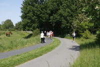  mikkelsen.tv_foto_7606.JPG 