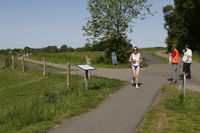  mikkelsen.tv_foto_8037.JPG 