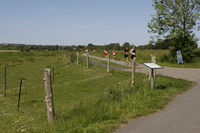  mikkelsen.tv_foto_8093.JPG 