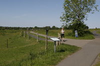  mikkelsen.tv_foto_8343.JPG 