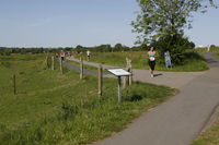  mikkelsen.tv_foto_8373.JPG 