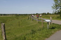  mikkelsen.tv_foto_8416.JPG 