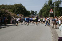  mikkelsen.tv_foto_7124.JPG 