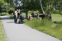  mikkelsen.tv_foto_7182.JPG 