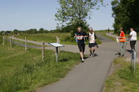  mikkelsen.tv_foto_8157.JPG 