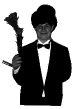 Hov! Der blev tryllestaven til en blomst. Det var da underligt :-)