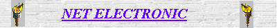 Net Electronic